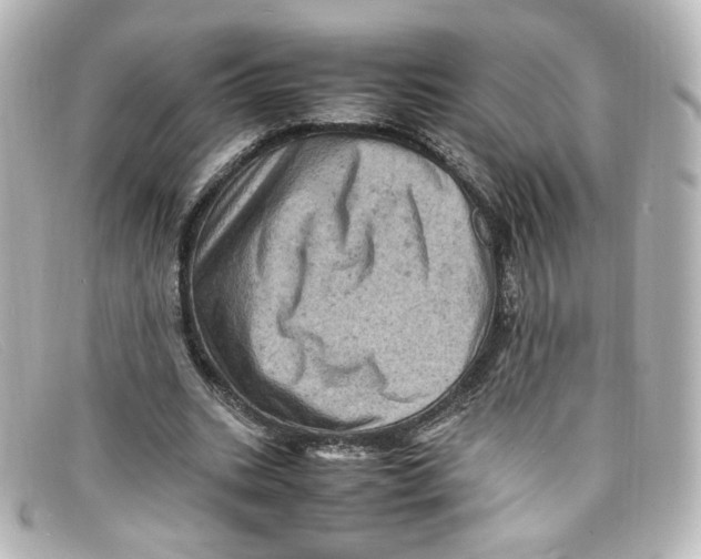 X0000098160535200805081106