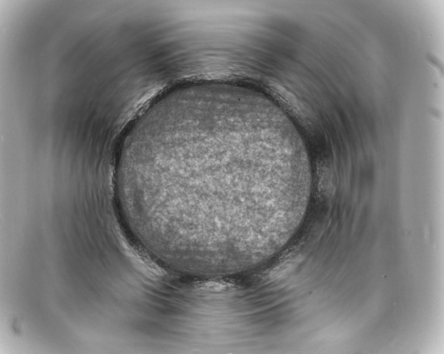 X0000098160542200805081106