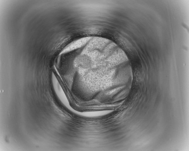 X0000098160546200805081106