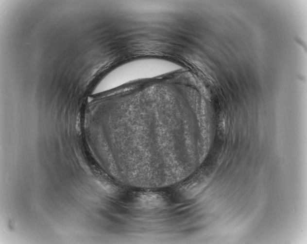X0000098160547200805081106
