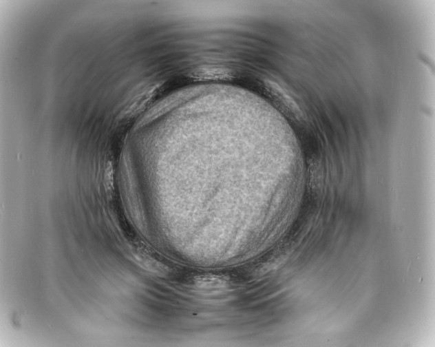 X0000098160549200805081106