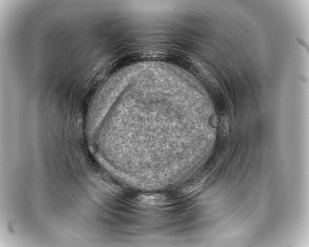 X0000098160557200805081106