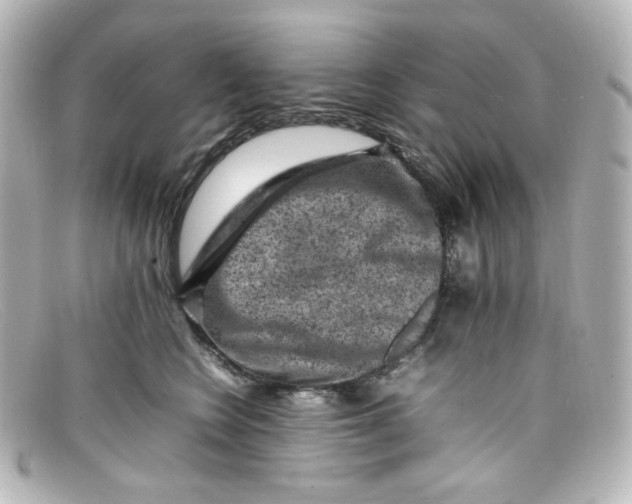 X0000098160566200805081106
