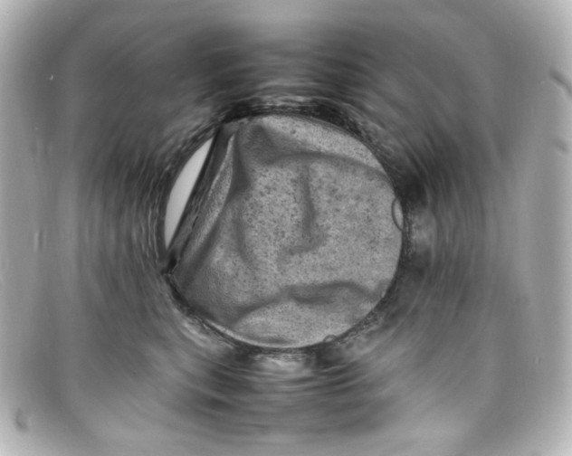 X0000098160567200805081106