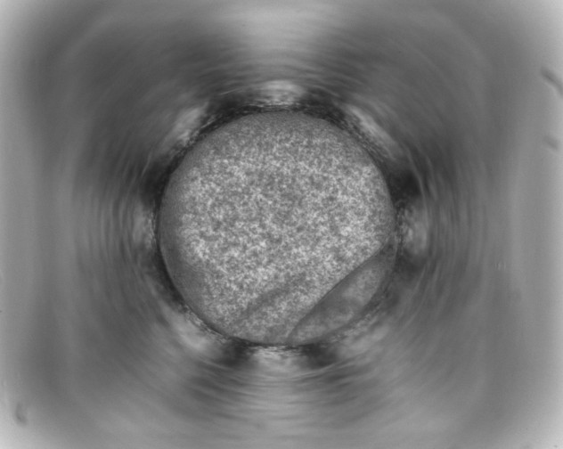 X0000098160568200805081106