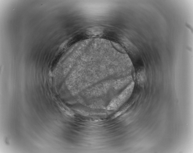X0000098160570200805081106