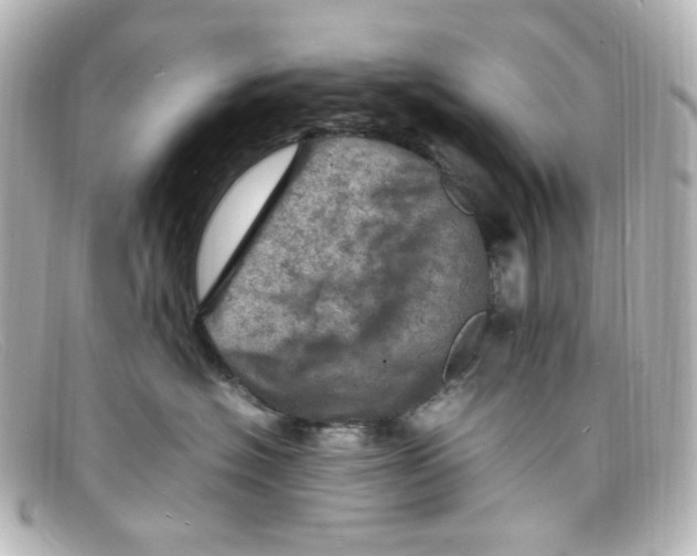 X0000098160574200805081106