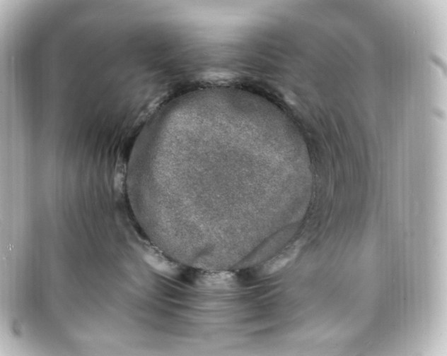 X0000098160576200805081106