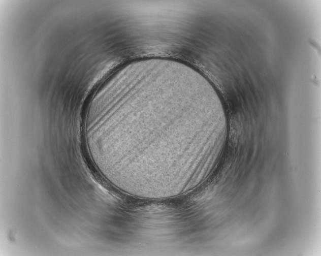 X0000098160578200805081105