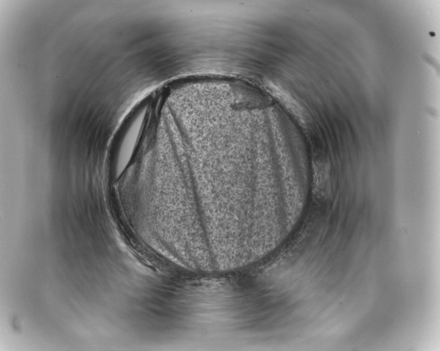 X0000098160580200805081105