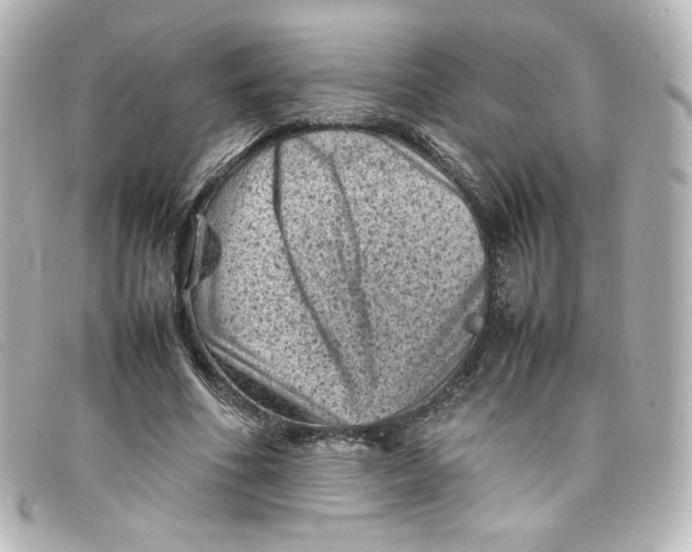 X0000098160586200805081105
