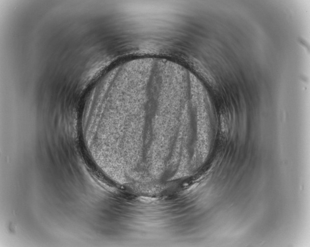 X0000098160588200805081105