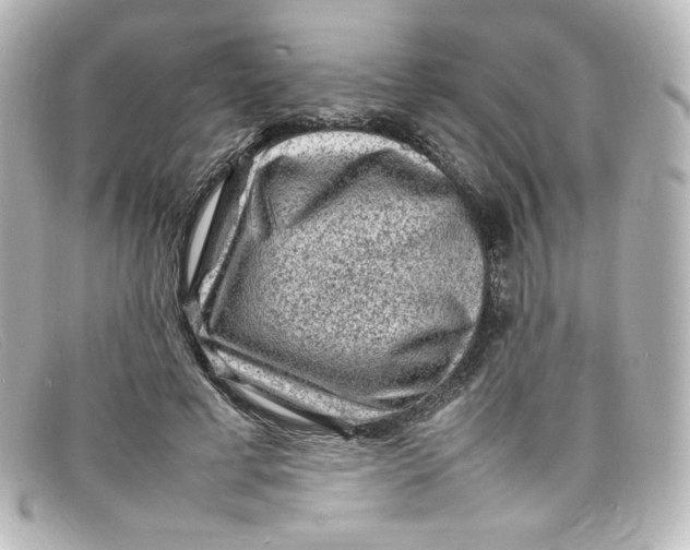 X0000098160593200805081105