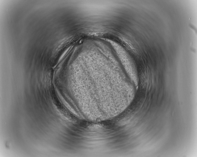 X0000098160594200805081105