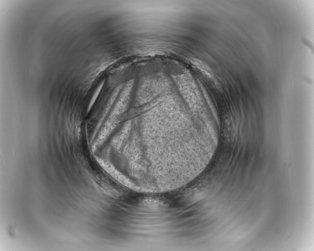 X0000098160596200805081105