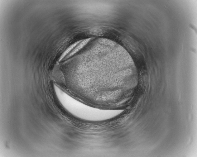 X0000098160597200805081105