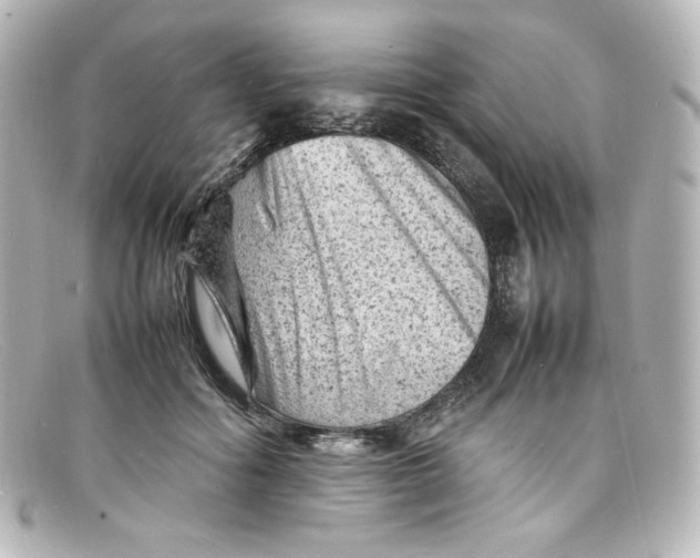 X0000098160602200805081105