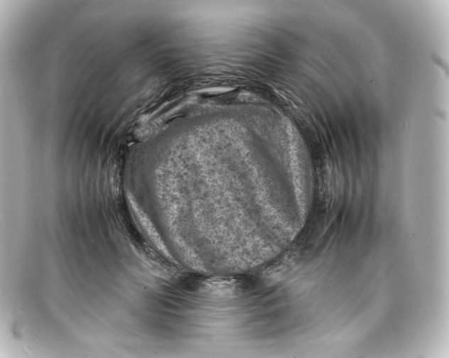 X0000098160606200805081105