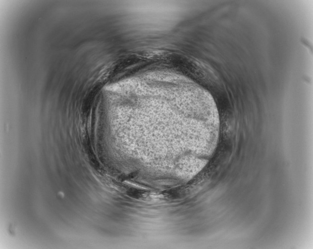 X0000098160607200805081105