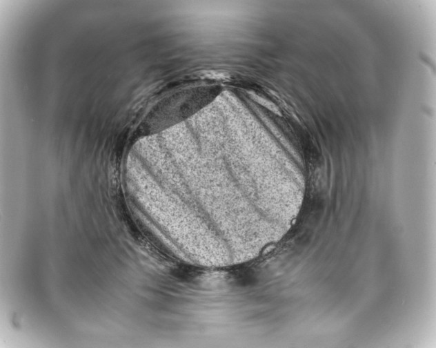 X0000098160609200805081105