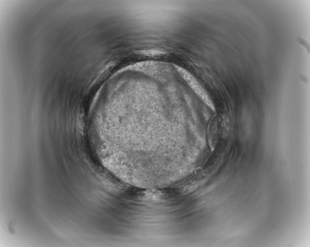 X0000098160612200805081105