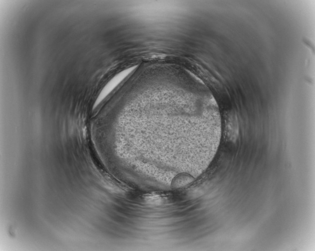 X0000098160616200805081105