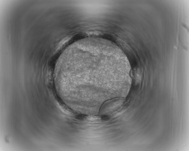 X0000098160619200805081105
