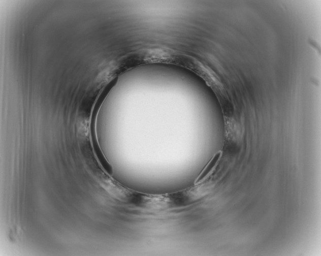 X0000098160621200805081105