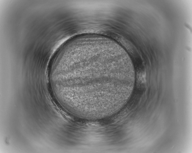 X0000098160628200805081104