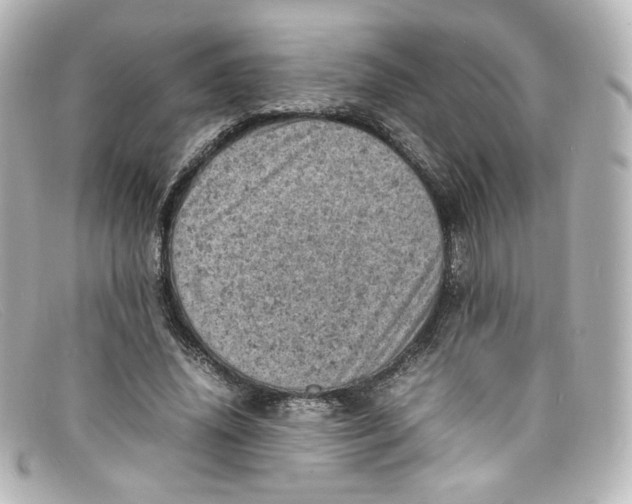 X0000098160636200805081104