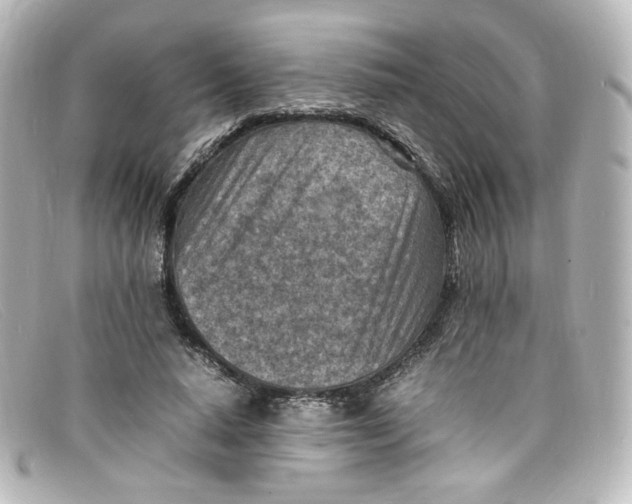 X0000098160640200805081104