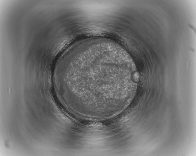 X0000098160642200805081104