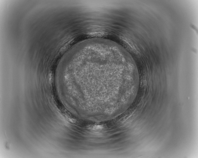 X0000098160647200805081104