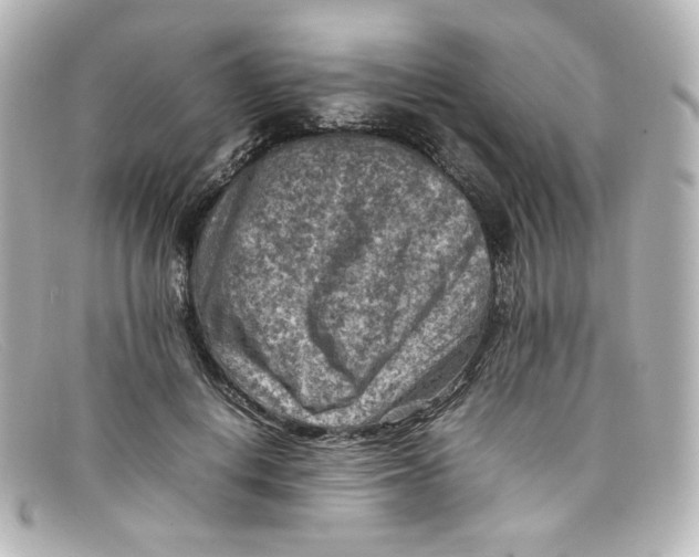 X0000098160648200805081104