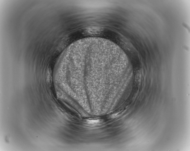 X0000098160651200805081105