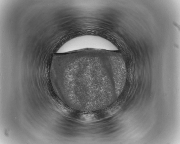 X0000098160653200805081105