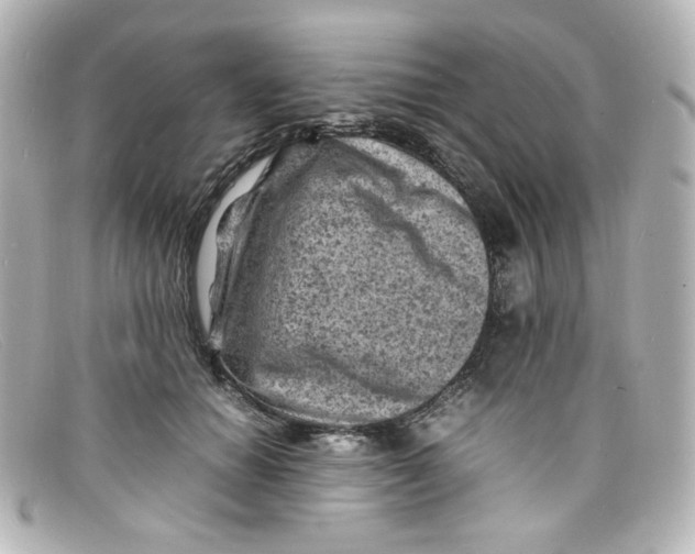 X0000098160654200805081105