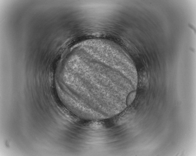 X0000098160656200805081105