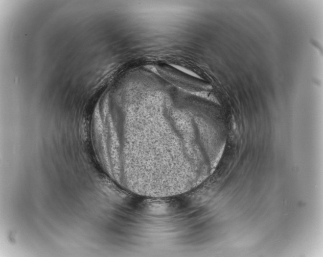 X0000098160658200805081105