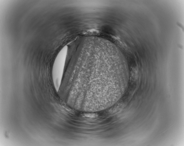 X0000098160659200805081105