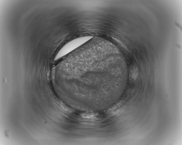X0000098160661200805081105
