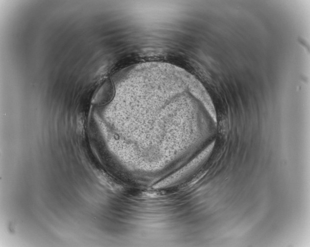 X0000098160662200805081105