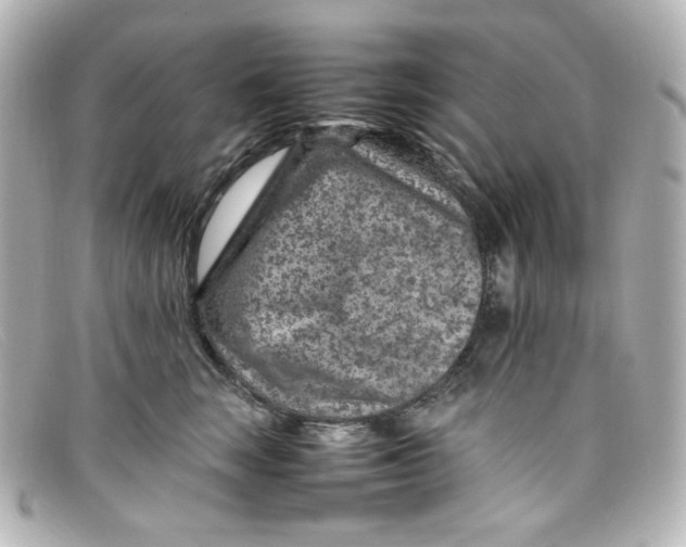 X0000098160663200805081105