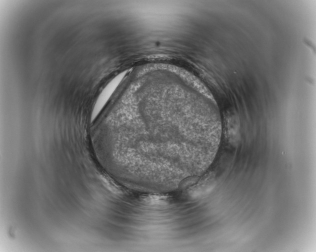 X0000098160664200805081105
