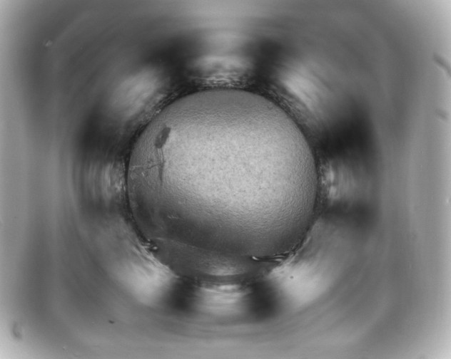 X0000098160665200805081105