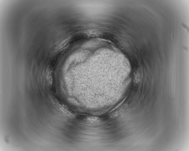 X0000098160666200805081105