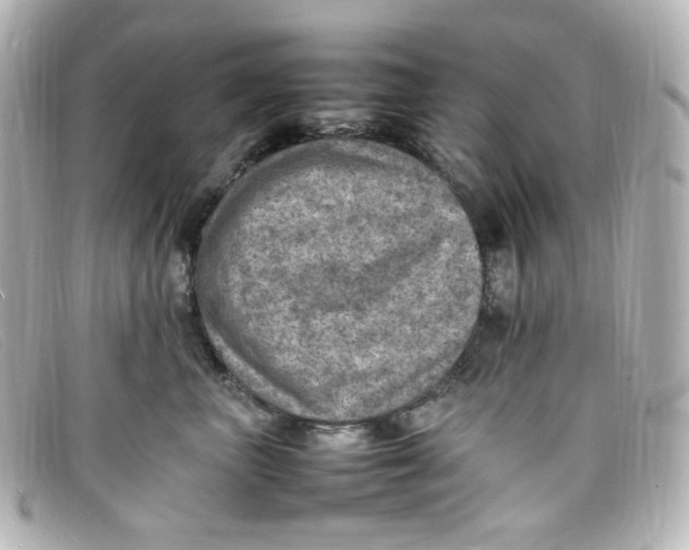 X0000098160667200805081105