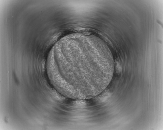 X0000098160668200805081105