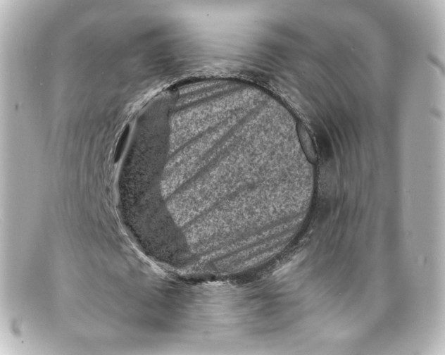 X0000098160673200805081104