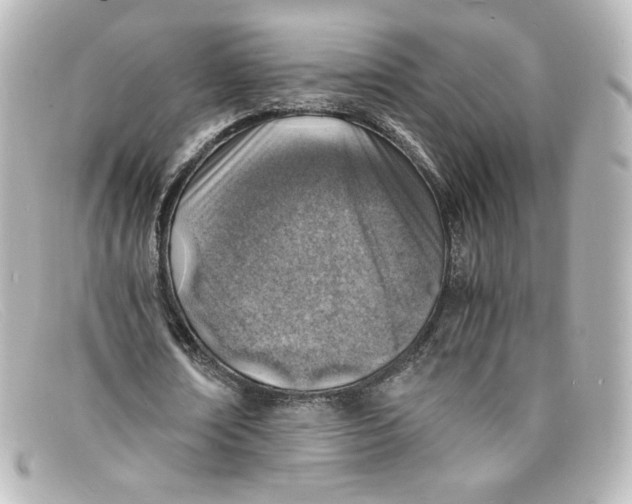 X0000098160674200805081104